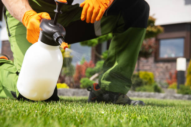 Best Commercial Pest Control Services  in New Middletown, OH
