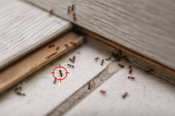 New Middletown, OH Pest Control Company