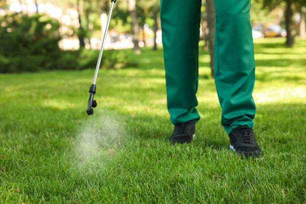 Best Affordable Pest Control Services  in New Middletown, OH