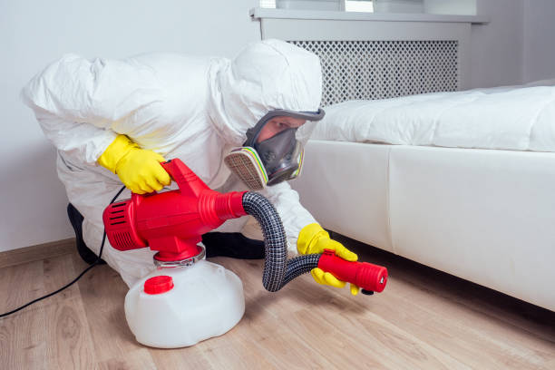 Best Cockroach Control Services  in New Middletown, OH