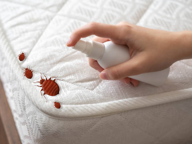 Best Affordable Pest Control Services  in New Middletown, OH