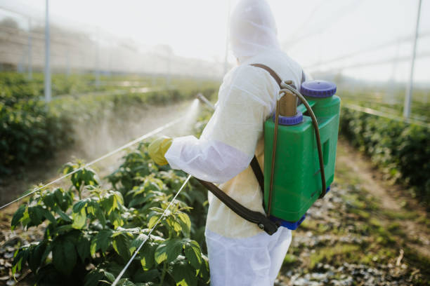 Best Commercial Pest Control Services  in New Middletown, OH